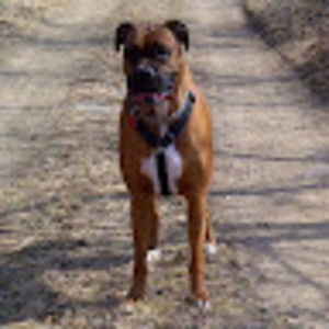 Meet your Posher, Jud